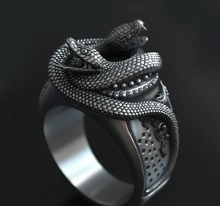 Men's Domineering Double Snake Head Silver Gothic Ring